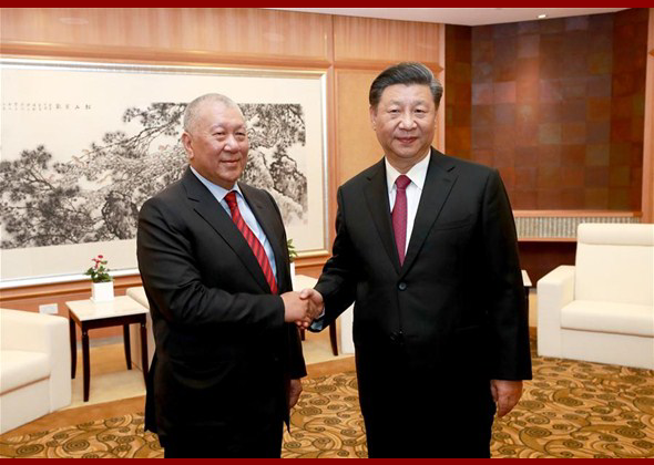 President Xi Meets Vice Chairm